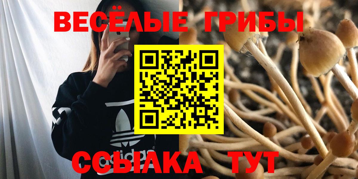 даркнет сайт  Галлюциногенные грибы мицелий  Вход с VPN  Десногорск 