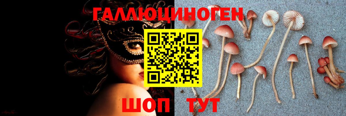 Галлюциногенные грибы Magic Shrooms Десногорск